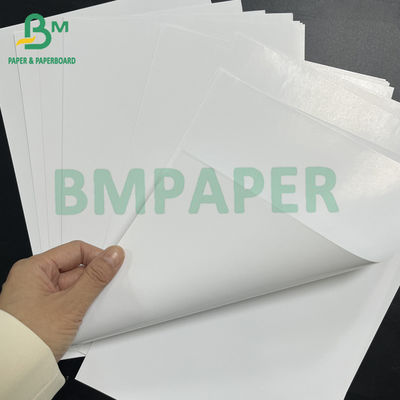 54&quot; * 300ft 80gsm Good Ink Absorbing Glossy Coated C2S Text Paper
