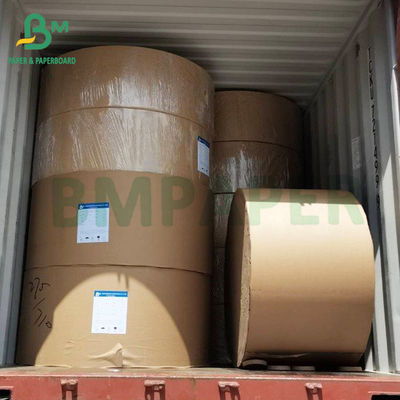 High Bulk Beverage Packaging Paperboard 275gsm One Side Coated