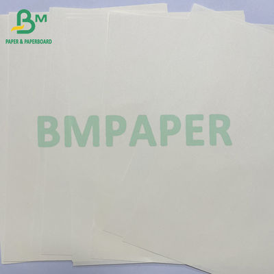 70grs Uncoated Smooth Good Ink Absorbing Cream Entre Book Paper