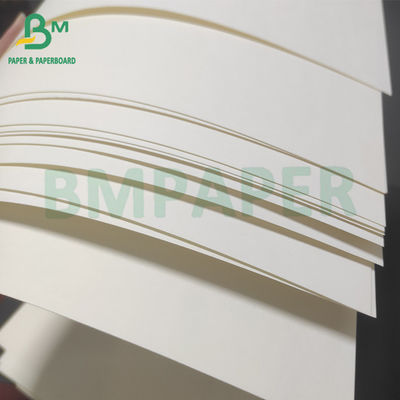 Single PE Coated Lunch Box Board White White For Food Packaging