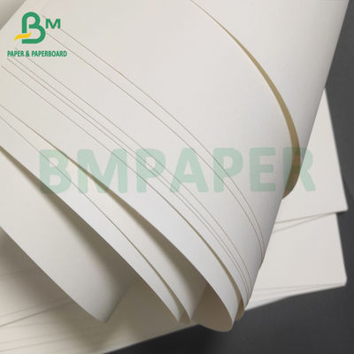 Single PE Coated Lunch Box Board White White For Food Packaging