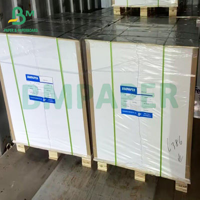 Single PE Coated Lunch Box Board White White For Food Packaging