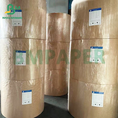 Single PE Coated Lunch Box Board White White For Food Packaging
