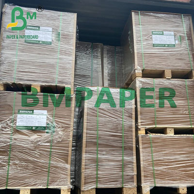 Brown Kraft Paper PE Laminated Cardboard Trays For Food Containers