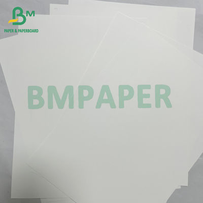 180mic Smooth Waterproof PET Synthetic Paper Banners Material