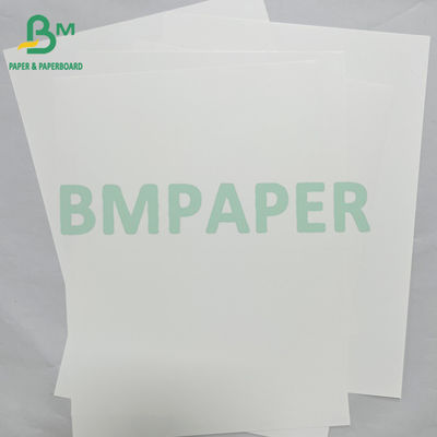 180mic Smooth Waterproof PET Synthetic Paper Banners Material