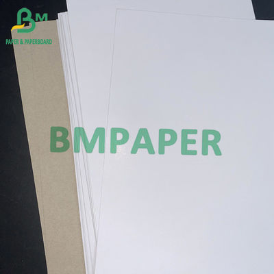 C1S Grey Back Paper Board 350gsm 450gsm 22 X 26 Inch Mark Every Mark Every 100 / 200 Sheets