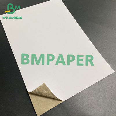 C1S Grey Back Paper Board 350gsm 450gsm 22 X 26 Inch Mark Every Mark Every 100 / 200 Sheets