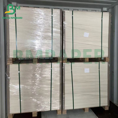 C2S Two Side Coated Folding Box Board Ivory Board 250gsm For Packaging