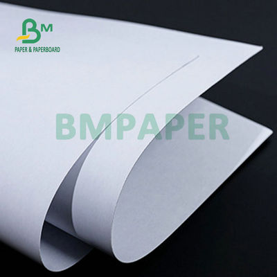 High Pulp White Coated Board Blue Core Cardboard 280gsm 300gsm