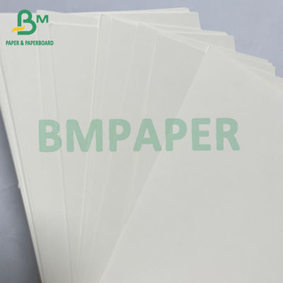 100grs 200grs Recyclable Food Grade Bagasse Pulp White Paper Roll