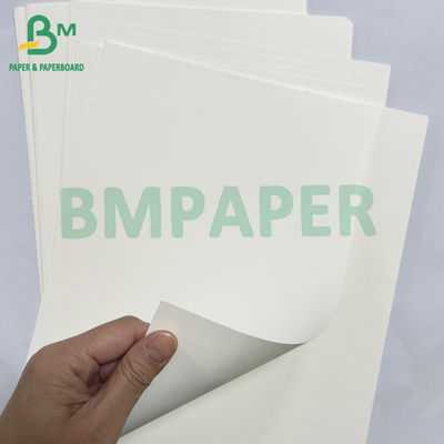 100grs 200grs Recyclable Food Grade Bagasse Pulp White Paper Roll