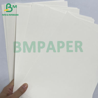 100grs 200grs Recyclable Food Grade Bagasse Pulp White Paper Roll