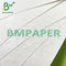 90 ~ 360gsm Eco-Friendly Sugar Cane Fiber Paper For Disposable Cups