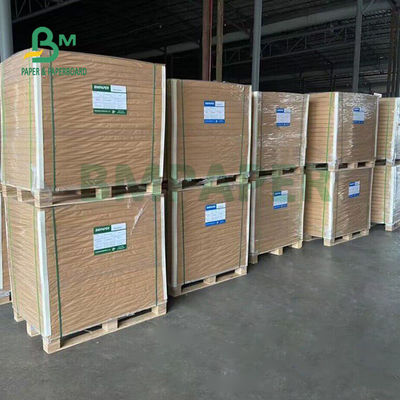 37'' x 25'' High Bulky FBB Food Board For Chocolate Packaging 325gsm 350gsm