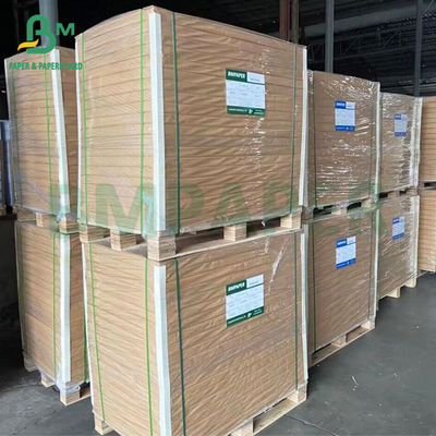 One Side Coated High Bulk White Foodpak Paperboard 250gsm 275gsm