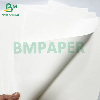 Ivory Color Book Printing Paper Jumbo Roll 40lb 60lb Offset Text