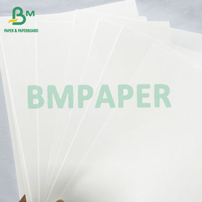 Ivory Color Book Printing Paper Jumbo Roll 40lb 60lb Offset Text