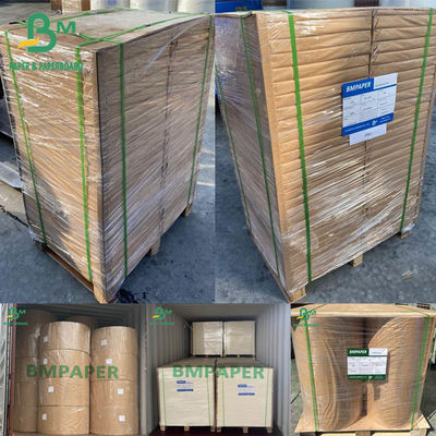 Blotter Paper White Blotting Paper 0.4mm 0.5mm 0.6mm 430 X 610mm 500 Sheets Ream Pack