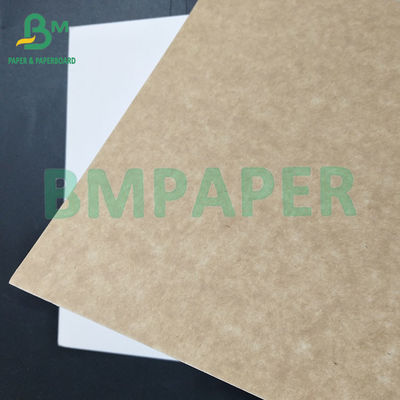 200 250gsm 100% Virgin Wood Pulp Food Grade Coated Kraft Back For Food Product Packaging