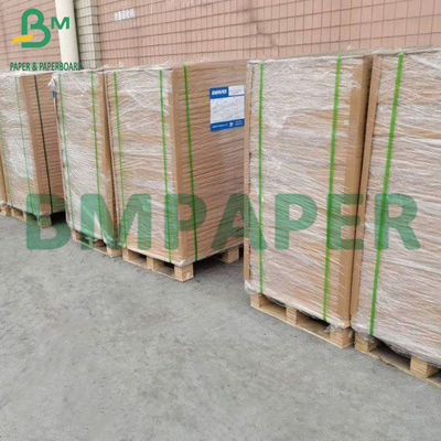 70g+15g PE One Side Coated Oilproof Food Grade Kraft Paper For Wrapping