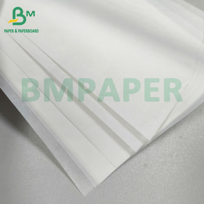 34gsm 38gsm 50gsm White Grease Resistant Paper Food Tray Liner Paper Roll