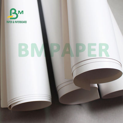 High Bulk 16 Pts 255grs FBB Board For Medicine Box 80 X 60cm 1 Side Coated