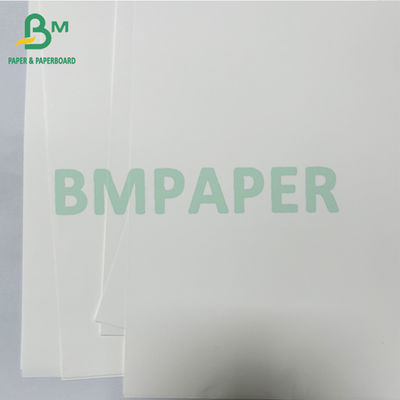 125 Smooth Anti - bacterial Medical Thermal Synthetic Paper Roll