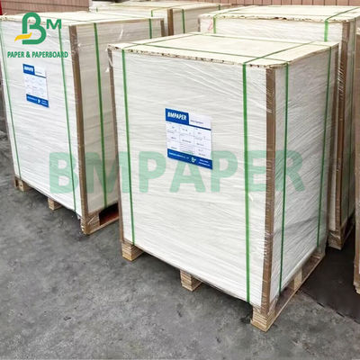 125 Smooth Anti - bacterial Medical Thermal Synthetic Paper Roll