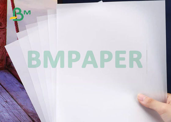 15gram 17gram 86cm 90cm Width White Color Translucent Tissue Paper Roll For Fruite Wrapping