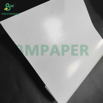 70gsm 80gsm C1S One Side Coated Paper For Labels Good Stiffness 70cm 90cm