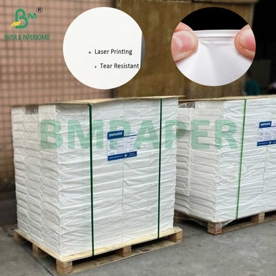 230mic 250mic Double Sided Laser Printing Synthetic Paper SRA3 Size 320 X 450mm