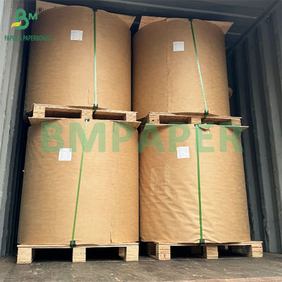 56gsm Waterproof And Insect Proof Kraft Paper For Mango Bag