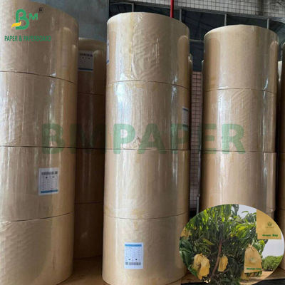 Mango Growing Protection Bag Glossy 30gsm Inner Black Paper Roll Sunproof