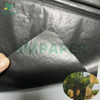 Mango Growing Protection Bag Glossy 30gsm Inner Black Paper Roll Sunproof