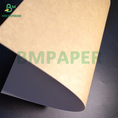 235gsm 275gsm Coated Kraft Paper Board For Dessert Boxes Food Safe 61 x 86cm