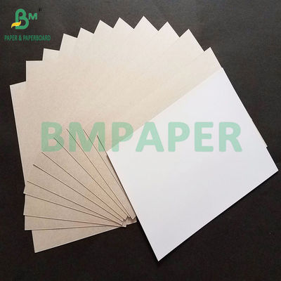 300gsm Good Stiffness Duplex Board C1S Grey Back For Packing Box