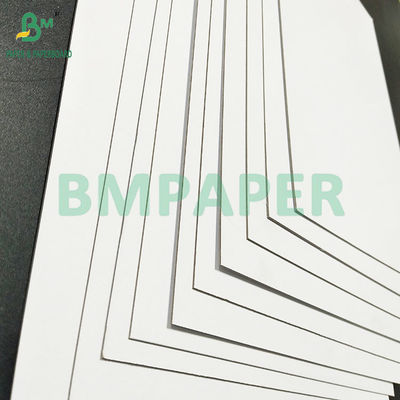 300gsm Good Stiffness Duplex Board C1S Grey Back For Packing Box