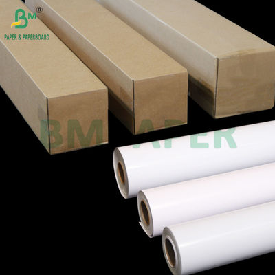 250g 260g RC Satin Inkjet Photo Paper Roll Pigment Ink 24inch 44inch x 100ft