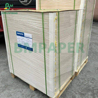 270gsm + 15g PE Coated Lunch Food Box Paper For Fruit Package High Stiffness