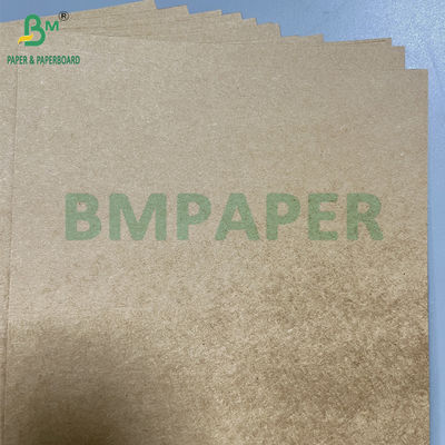 Greaseproof 350g + 20g Matte PE Coated Brown Foodbox Paperboard 70 X 100 Cm
