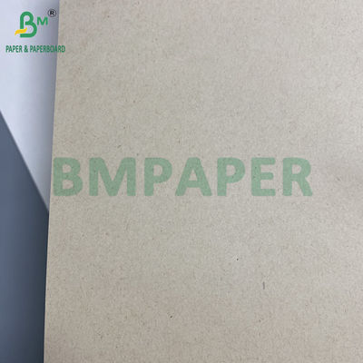 130g 300g Natural Sugarcane Bagasse Pulp Paper For Food Plates Rolls biodegradable Paperboard