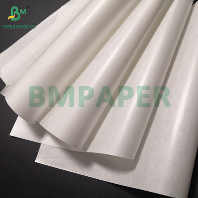 Single or Double Sided PE Coated 60g Paper 20 Micron Polyethelene for Medicine Packaging