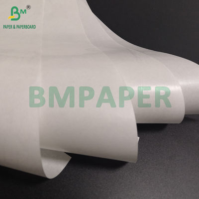 Single or Double Sided PE Coated 60g Paper 20 Micron Polyethelene for Medicine Packaging