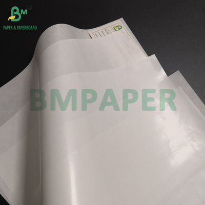 Single or Double Sided PE Coated 60g Paper 20 Micron Polyethelene for Medicine Packaging