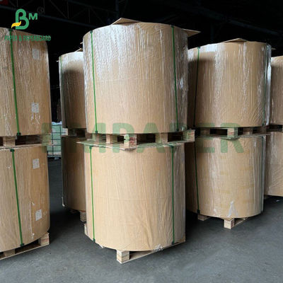 Single or Double Sided PE Coated 60g Paper 20 Micron Polyethelene for Medicine Packaging