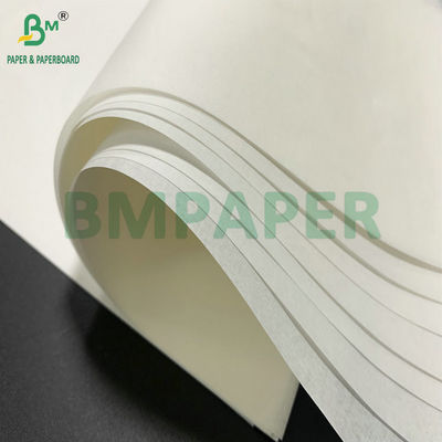 600mm Roll Width 25gsm 30gsm White Kraft Paper For Cake Baking Paper