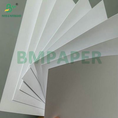 Excellent Smoothness 100Gram 120Gram Uncoated Woodfree Paper For Offset Printing 71cm Roll