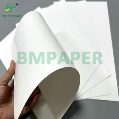 250gram 300gram One Side Coated SBS Solid Bleach Sulphate For Package Carton 70 X 100cm