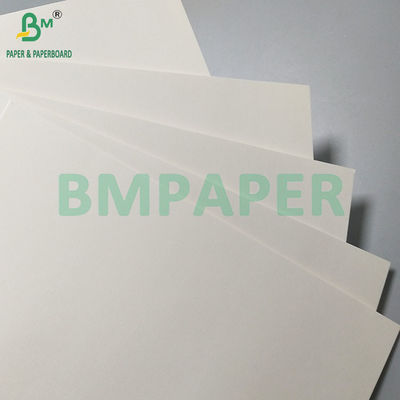 260gsm+18PE Matte Coated Food Oilproof Paper For Making Disposable Paper Cups And Bowls